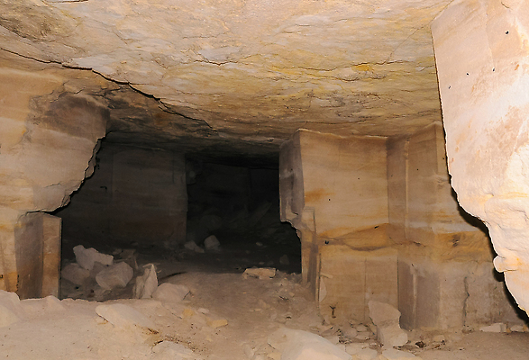 포토 JPG 해외이미지 동물 야생동물 포유류 자연 사람없음 갈색 다양 잠 동굴 보호 쥐 박쥐 식민지 해외202310 해외포토 컬러 다수 컨셉 설치류 생태계 파일형식