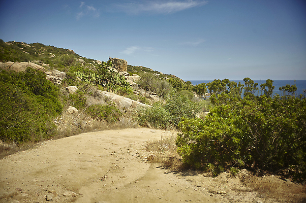 포토 JPG 해외이미지 나무 구름 응시 공원 도로 길 지구 여행 자국 자동차 자연 하늘 산 건조 사람 풍경 사람없음 야외 빨간색 파란색 강 세트 세계 태양 골짜기 일몰 하이킹 운전 사막 구멍 언덕 좁은 먼지 루트 시온산 자동 전국 착륙 하이커 해외202310 해외포토 자연요소 식물 시선 공공시설 육상교통 컬러 교통시설 모션 레저 노을 생태계 파일형식