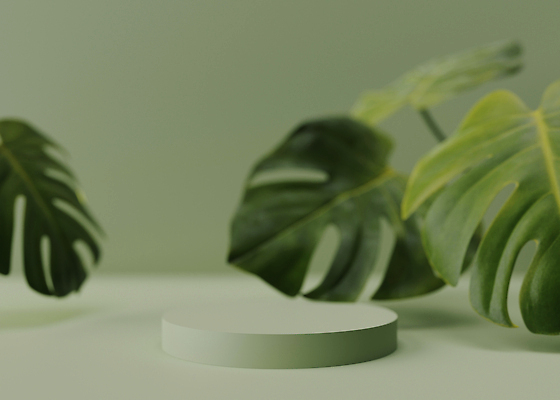 포토 JPG 해외이미지 백그라운드 나뭇잎 사람없음 초록색 공간 원형 단상 포디움 해외202310 해외포토 도형 컬러 잎 무대 파일형식