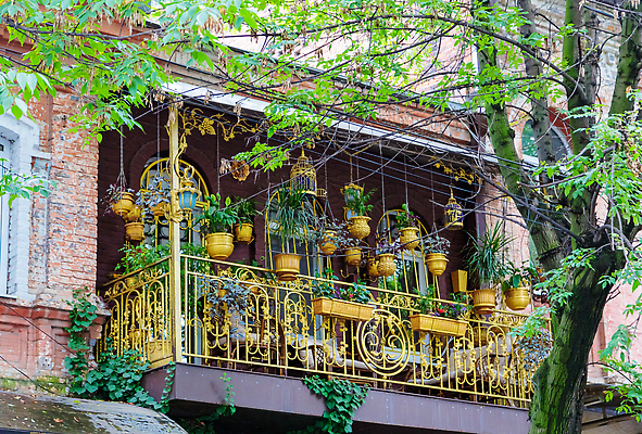 포토 JPG 해외이미지 식물 꽃 화분 가구 잎 꽃무늬 건축양식 주택 매달리기 취미 사람없음 야외 건물 장식 초록색 인테리어 컬러풀 뷰티 낭만 발코니 도시 냄비 원예 조경 시티라이프 옛날 해외202310 해외포토 라이프스타일 건축물 디자인 건축 컬러 생활용품 컨셉 무늬 모션 솥 파일형식