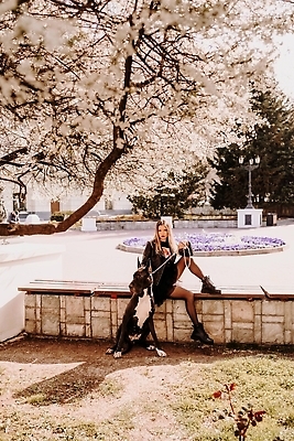 포토 JPG 해외이미지 전신 한마리 공원 여자 반려견 벤치 꽃나무 한명 앉기 성인 야외 옆모습 산책 잡기 대형견 목줄 성인여자한명만 그레이트덴 해외포토 나무 1 공공시설 꽃 뷰포인트 의자 모션 휴식 사람 반려동물 개 여자한명만 성인여자만 파일형식 반려용품