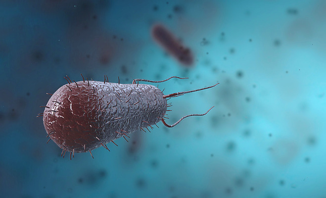 포토 JPG 해외이미지 세포 나선형 사람없음 약 열 원형 막대기 질병 생물학 감염 미생물 박테리아 기생충 여의주 염증 코스모폴리탄 해외202310 해외포토 도형 교육 무늬 의학 생물 칵테일 바이러스 파일형식