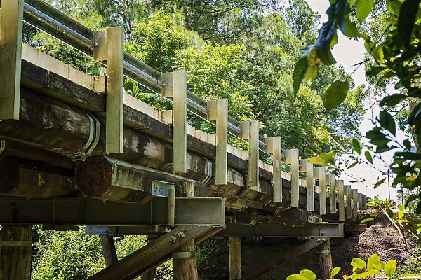 포토 JPG 해외이미지 나무 공원 도로 여행 백그라운드 패턴 건축양식 자연 풍경 사람없음 야외 건물 초록색 여름 강 개울 호주 열대우림 건너기 전국 해외202310 해외포토 식물 건축물 계절 공공시설 건축 길 컬러 무늬 교통시설 모션 오세아니아 숲 생태계 파일형식