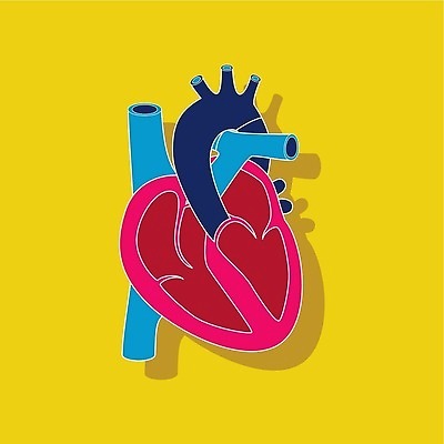 EPS 해외이미지 종이 과학 백그라운드 스티커 신체 일러스트 해부 근육 건강 사랑 사람 약 심장 오르간 질병 무서움 생물학 시스템 동맥 정맥 스타일 해외202310 해외일러스트 교육 감정 의학 건반악기 장기 혈관 파일형식 벡터 악기 건반 음악 문화예술