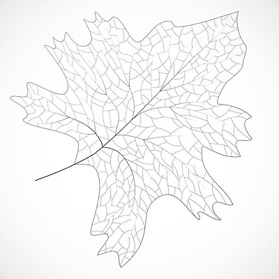 EPS 해외이미지 모양 나무 식물 디자인 실루엣 백그라운드 잎 꽃무늬 패턴 일러스트 자연 벽지 추상 프레임 미술 장식 여름 뷰티 정원 봄 수확 흰색 나뭇가지 숲 수집 사인 그림 에코 유기농 질감 내추럴 고립 엘리먼트 벡터 해외202310 해외일러스트 웰빙 계절 꽃 컬러 무늬 농업 문화예술 촬영기법 환경 생태계 파일형식