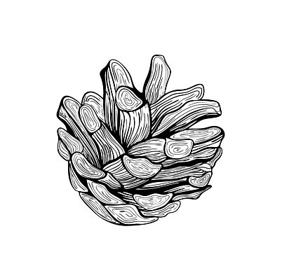 EPS 해외이미지 나무 식물 디자인 계절 크리스마스장식 크리스마스 겨울 일러스트 휴가 새해 크리스마스카드 흑백 그래픽 장식 크리스마스트리 가을 소나무 숲 인쇄 12월 스케치 심볼 싱글 그림 윤곽 손그림 솔방울 판화 원뿔 삼나무 가문비나무 벡터 현실 해외202310 해외일러스트 도형 기념일 카드_감사 촬영기법 미술 날짜 파일형식