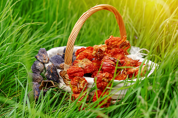 포토 JPG 해외이미지 디자인 계절 공원 음식 백그라운드 밭 농업 다이어트 과일 자연 휴식 건강 사람없음 야외 장식 빨간색 초록색 여름 컬러풀 농장 소풍 노란색 바구니 수확 축하 신용카드 만화 유기농 내추럴 숙성 채식주의자 화창 맛있는 해외202310 해외포토 웰빙 공공시설 산업 컬러 컨셉 날씨 금융 야외활동 생태계 채식 파일형식