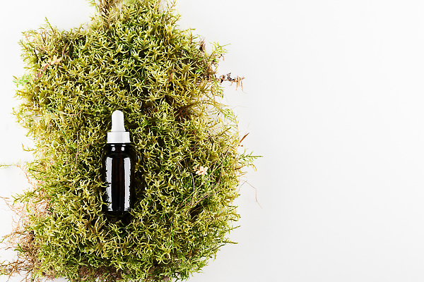 포토 JPG 해외이미지 이끼 사람없음 재활용 오브젝트 공병 앰플 친환경제품 제로웨이스트 해외202310 해외포토 그린캠페인 사회이슈 친환경 병_담는 파일형식