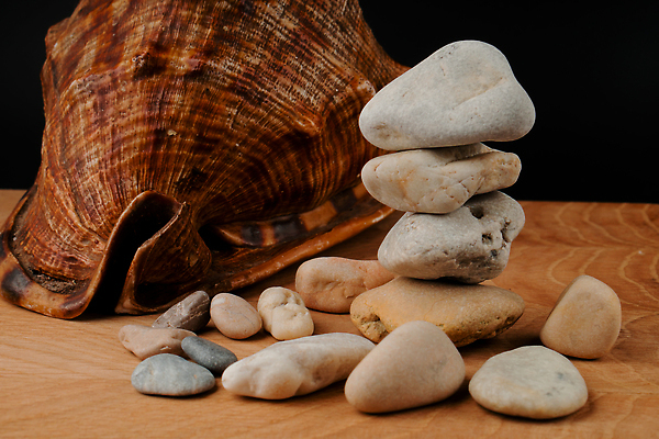 포토 JPG 해외이미지 디자인 선 음식 모래 바다 컬러 백그라운드 컨셉 패턴 오렌지 비즈니스 텍스트 자연 추상 조개 휴식 건강 사람없음 여름 단어 뷰티 갈색 검은색 칠판 껍질 바위 흰색 메시지 심볼 묘사 명상 오브젝트 사인 질감 긍정 내추럴 자극 해외202310 해외포토 문자 계절 무늬 과일 어패류 돌_바위 생태계 파일형식