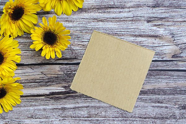 포토 JPG 해외이미지 식물 템플릿 디자인 계절 꽃잎 꽃 종이 결혼 백그라운드 컨셉 꽃무늬 자연 탁자 표면 해바라기 발렌타인데이 창조 사랑 사람없음 목재 장식 뷰티 우주 쪽지 봄 낭만 벚꽃 축하 인사 신용카드 생일 메시지 책상 찢어짐 구성 정물화 파스텔톤 카피스페이스 어머니의날 해외202310 해외포토 나무 기념일 감정 컬러 가구 무늬 재료 모션 데이이벤트 이벤트 금융 공백 예절 그림 생태계 미국문화 파일형식