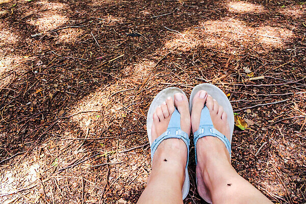 포토 JPG 해외이미지 동물 손 아시아 곤충 백그라운드 신체 청소년 건강 사람 사람없음 야외 치료 빨간색 여름 약 고통 환자 짜증 점 벌레 질병 위험 피부 예방 감염 찌르기 토막 알레르기 돌봄 모기 흉터 해외202310 해외포토 계절 감정 나라 컬러 컨셉 의학 모션 신체부위 해충 상처 파일형식
