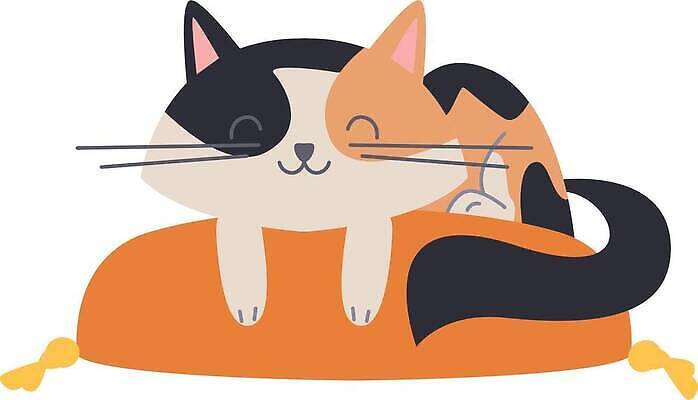 EPS 해외이미지 동물 행복 어린이 백그라운드 일러스트 포유류 베개 아침 휴식 주택 털 실내 미술 반려동물 뷰티 고양이 흰색 침대 아기 잠 작음 모피 낮잠 부드러움 솜털 리빙 거짓말 벡터 안락 순혈 해외202310 해외일러스트 주간 감정 컬러 가구 컨셉 침구 문화예술 사람 내부 건물 감각 크기 파일형식