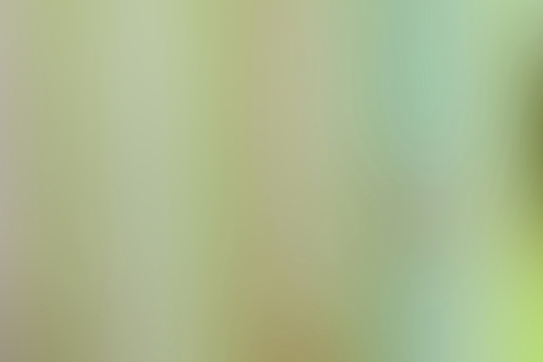 포토 JPG 해외이미지 모양 디자인 백그라운드 이동 일러스트 벽지 추상 기념 미술 사람없음 그래픽 장식 파란색 빛 컬러풀 뷰티 노란색 흐름 흰색 원형 소프트포커스 강렬 블러 유흥 해외202310 해외일러스트 도형 컬러 컨셉 무늬 문화예술 촬영기법 파일형식