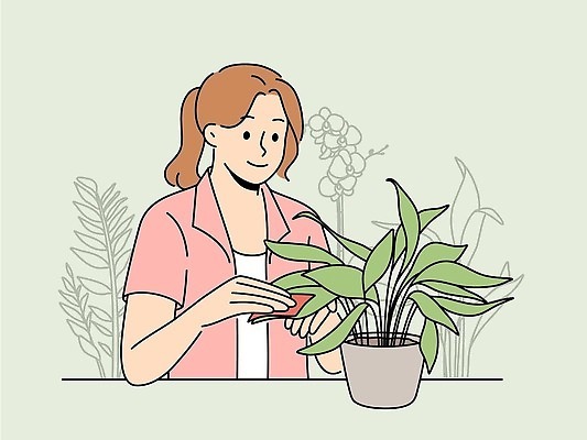 EPS 해외이미지 여자 화분 화초 일러스트 자연 관리 한명 성인 초록색 원예 닦기 성인여자한명만 해외202310 해외일러스트 식물 1 컬러 모션 사람 취미 생태계 여자한명만 성인여자만 파일형식 벡터