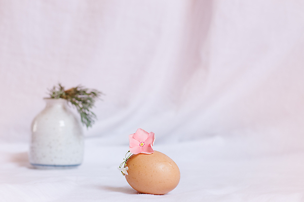 포토 JPG 해외이미지 전통 디자인 계절 백그라운드 컨셉 휴가 사람없음 장식 뷰티 축제 봄 공백 벚꽃 흰색 축하 신선 4월 심볼 흰배경 부활절계란 심플 내추럴 고립 구성 정물화 파스텔톤 카피스페이스 미니멀 해외202310 해외포토 꽃 컬러 부활절 계란 날짜 그림 파일형식