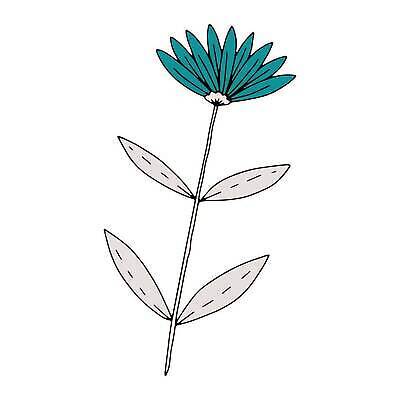 EPS 해외이미지 식물 디자인 꽃잎 꽃 선 결혼 잎 꽃무늬 일러스트 자연 잉크 흑백 그래픽 장식 세트 장미 정원 검은색 봄 화장품 성장 벚꽃 직물 화려 낙서 스케치 자르기 수집 문신 허브 라인아트 데이지 심플 윤곽 초대 손그림 벡터 미니멀리스트 미니멀 해외202310 해외일러스트 계절 컬러 컨셉 무늬 모션 촬영기법 미술 이벤트 뷰티 생태계 파일형식