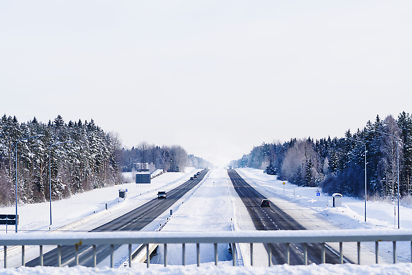 포토 JPG 해외이미지 나무 도로 겨울 자동차 자연 사람없음 야외 울타리 눈 가로수 해외202310 해외포토 자연요소 식물 계절 길 육상교통 교통시설 날씨 담장 생태계 파일형식