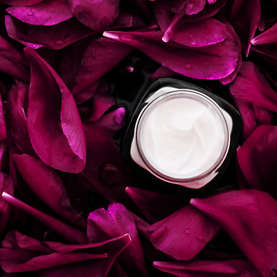 포토 JPG 해외이미지 꽃잎 근접촬영 사람없음 고급 자주색 피부관리 스킨케어 기초화장품 수분크림 해외202310 해외포토 꽃 뷰포인트 컬러 컨셉 뷰티 화장품 파일형식