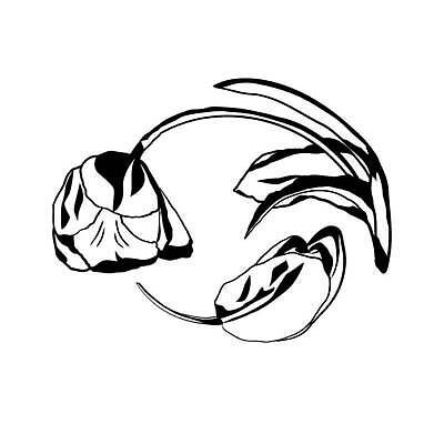 EPS 해외이미지 식물 디자인 꽃잎 꽃 실루엣 선 줄기 꽃다발 백그라운드 잎 꽃무늬 패턴 일러스트 자연 추상 흑백 미술 그래픽 장식 픽토그램 뷰티 정원 검은색 웹 봄 튤립 벚꽃 흰색 플랫 우아함 스케치 문신 심볼 사인 그림 윤곽 내추럴 고립 엘리먼트 스타일 벡터 해외202310 해외일러스트 계절 컬러 컨셉 무늬 인터넷 문화예술 촬영기법 생태계 파일형식