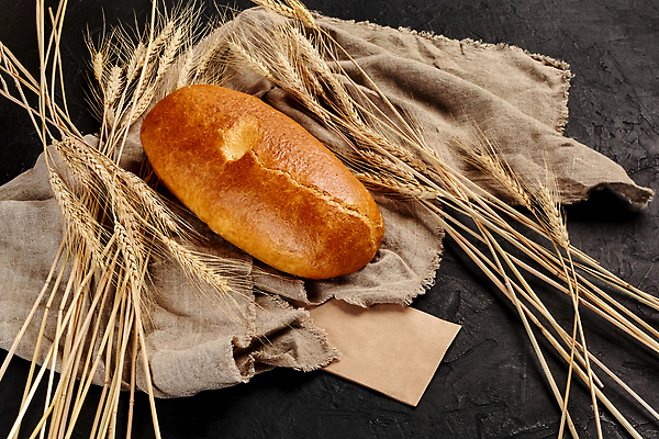 포토 JPG 해외이미지 빵 사람없음 한개 밀 제빵 핸드메이드 해외202310 해외포토 1 음식 곡류 제과제빵 파일형식