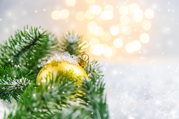 포토 JPG 해외이미지 나무 전통 디자인 배너 계절 행복 별 백그라운드 크리스마스 겨울 텍스트 공 휴가 새로움 새해 선물 이벤트 사람없음 장식 빨간색 빛 상자 우주 축제 장식볼 수확 흰색 램프 축하 인사 신용카드 화려 황금 12월 연도 보케 해외202310 해외포토 자연요소 식물 기념일 감정 컬러 컨셉 농업 조명 금융 예절 날짜 파일형식