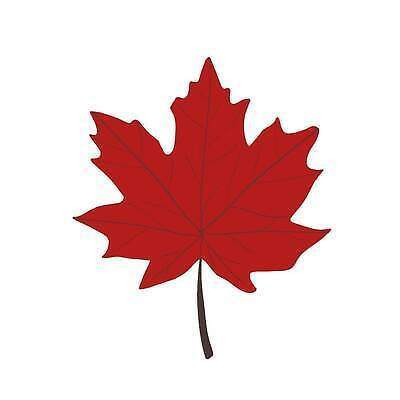 EPS 해외이미지 나무 식물 손 디자인 배너 계절 실루엣 종이 컬러 백그라운드 단풍 잎 캐나다 겨울 꽃무늬 패턴 오렌지 일러스트 비즈니스 학교 자연 추상 프레임 사랑 미술 그래픽 장식 빨간색 물 여름 태양 유행 봄 가을 흰색 심볼 질감 10월 내추럴 고립 그런지 엘리먼트 벡터 국경 해외202310 해외일러스트 자연요소 교육 꽃 감정 북아메리카 무늬 과일 문화예술 촬영기법 신체부위 날짜 생태계 파일형식