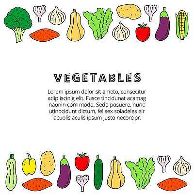 EPS 해외이미지 토마토 일러스트 가지 양파 오이 감자 파프리카 프레임 마늘 옥수수 사람없음 양상추 브로콜리 테두리 고구마 해외202310 해외일러스트 채소 곡류 뿌리채소 파일형식 벡터