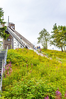 포토 JPG 해외이미지 나무 유럽 여행 자연 하늘 산 독일 파노라마 국립공원 풍경 사람없음 야외 초록색 여름 파란색 관광지 뷰티 계곡 하이킹 시골 정상 숲 언덕 산봉우리 전나무 내추럴 항공촬영 절정 가문비나무 해외202310 해외포토 식물 계절 공원 나라 뷰포인트 컬러 레저 촬영기법 생태계 봉우리 파일형식