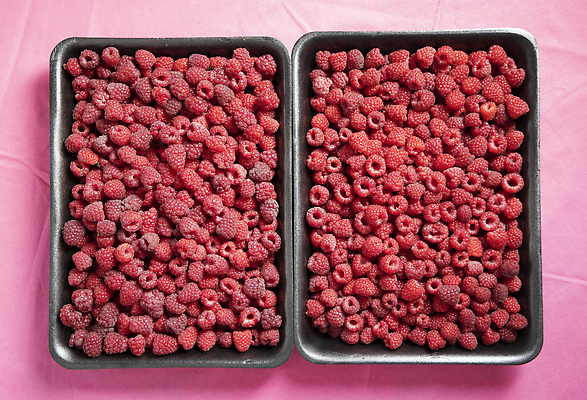 포토 JPG 해외이미지 식기 접시 손 계절 열매 음식 잎 과일 재료 디저트 건강 식이요법 관리 사람없음 빨간색 검은색 수확 흰색 신선 잡기 사발 맛 아침식사 먹기 상쾌 유기농 날것 향기 산딸기 부드러움 내추럴 숙성 채식주의자 많음 디톡스 솔깃 비건 해외202310 해외포토 식물 웰빙 감정 컬러 컨셉 농업 모션 신체부위 식사 감각 사기그릇 채식 냄새 파일형식