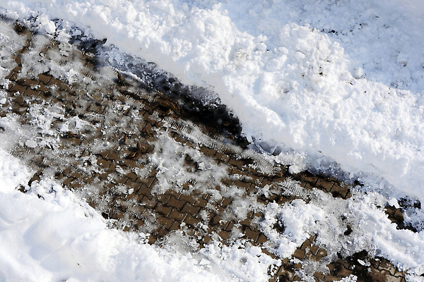 포토 JPG 해외이미지 나무 동물 야생동물 백그라운드 겨울 자연 조류 사람없음 야외 뷰티 갈색 추위 흰색 나뭇가지 작음 부리 참새 해외202310 해외포토 식물 계절 컬러 크기 생태계 파일형식