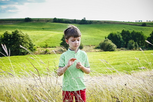 포토 JPG 해외이미지 백인 라이프스타일 계절 행복 어린이 백그라운드 밭 농업 텍스트 자연 건강 한명 사람 소년 야외 초록색 농작물 태양 농장 우주 환경 맑음 봄 기쁨 자유 성장 시골 시간 밀 밭일 해외202310 해외포토 자연요소 서양인 1 남자 감정 산업 컬러 컨셉 날씨 곡류 생활 생태계 파일형식