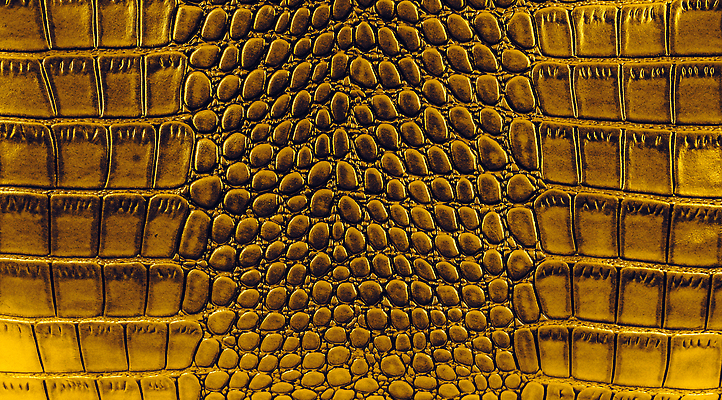 포토 JPG 해외이미지 동물 디자인 백그라운드 패턴 파충류 자연 벽지 표면 추상 프레임 미술 사람없음 장식 유행 어둠 직물 거친 뱀 황금 고급 보호 인쇄 가죽 피부 묘사 질감 눈금 도마뱀 육식동물 악어 숨김 내추럴 소가죽 이국적 인공 해외202310 해외포토 컨셉 무늬 문화예술 신체부위 생태계 파일형식