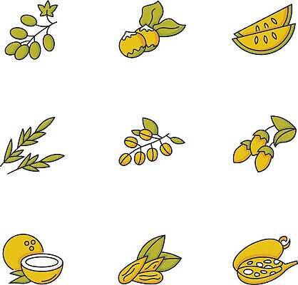 EPS 해외이미지 클립아트 식물 디자인 선 컬러 컨셉 과일 일러스트 재료 포도 씨앗 세트 픽토그램 웹 견과류 껍질 나뭇가지 플랫 기름 멜론 만화 수집 허브 심볼 심플 윤곽 코코넛 아몬드 팩 로즈메리 고립 돌봄 엘리먼트 이국적 칼라하리 항목 활자 벡터 해외202310 해외일러스트 나무 음식 인터넷 모션 화장품 사막 활자판 파일형식