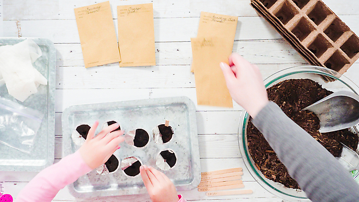 포토 JPG 해외이미지 손 쟁반 실내 신체부위 환경 잡기 모종삽 원예 나무막대 심기 해외202310 해외포토 모션 사람 취미 내부 막대 삽 파일형식