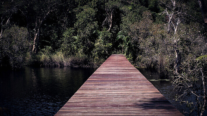 포토 JPG 해외이미지 나무 식물 라이프스타일 공원 아시아 길 어린이 여행 백그라운드 잎 자국 태국 자연 사람없음 야외 목재 초록색 물 강 뷰티 여행객 환경 산책 성장 시골 숲 오솔길 내추럴 방법 해외202310 해외포토 자연요소 공공시설 나라 컬러 재료 휴식 사람 생활 생태계 파일형식