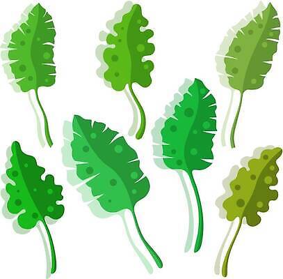 EPS 해외이미지 모양 나무 식물 계절 꽃 실루엣 여행 잎 꽃무늬 일러스트 자연 바나나 손바닥 야외 그래픽 장식 초록색 세트 정원 봄 나뭇가지 신선 그룹 숲 수집 오브젝트 유기농 하와이 코코넛 내추럴 고립 엘리먼트 이국적 파라다이스 벡터 해외202310 해외일러스트 손 웰빙 컬러 무늬 과일 촬영기법 미국 생태계 파일형식