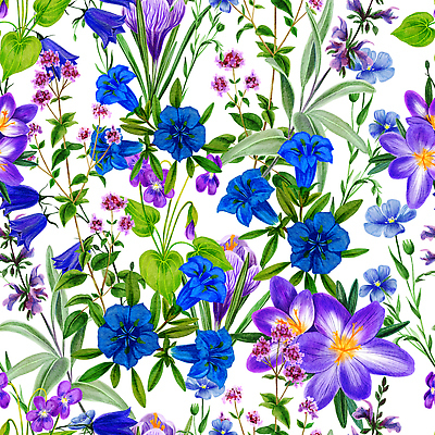 포토 JPG 해외이미지 식물 템플릿 디자인 꽃 종이 백그라운드 잎 꽃무늬 패턴 밭 일러스트 자연 벽지 미술 사람없음 장식 초록색 파란색 정원 보라색 봄 수확 직물 다발 수집 허브 그림 질감 손그림 내추럴 고립 백리향 비올라 빅토리아 세이지 엘리먼트 포장소품 해외202310 해외일러스트 계절 컬러 무늬 농업 포장 문화예술 오브젝트 생태계 포장재료 파일형식 찰현악기