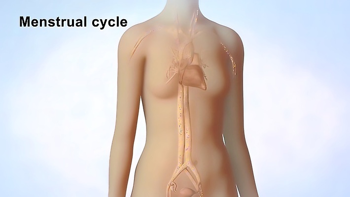 포토 JPG 해외이미지 라이프스타일 여자 분홍색 다이어트 해부 주택 기술 사람 사람없음 스마트폰 뷰티 약 방 고통 시간 기다림 상처 담요 순환 시스템 자궁 복근 심각 압력 증상 복부 해외202310 해외포토 감정 컬러 컨셉 의학 모션 근육 건강 건물 생활 신체부위 핸드폰 스마트기기 장기_의학 파일형식