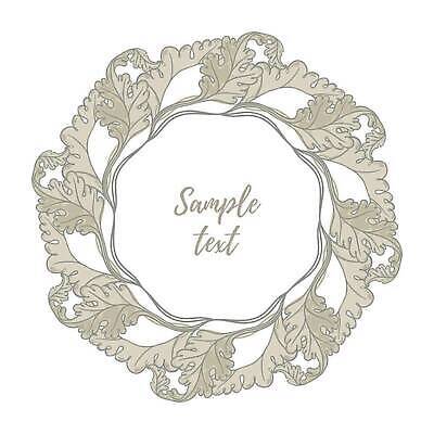 EPS 해외이미지 식물 템플릿 디자인 꽃 결혼 백그라운드 잎 꽃무늬 패턴 일러스트 자연 프레임 미술 그래픽 장식 화환 봄 수확 나뭇가지 시골 원형 신용카드 화려 클래식 우아함 허브 심볼 복고 초대 고립 르네상스 만다라 바로크 엘리먼트 월계수 스타일 벡터 국경 해외202310 해외일러스트 도형 나무 계절 컨셉 무늬 농업 문화예술 이벤트 금융 생태계 파일형식