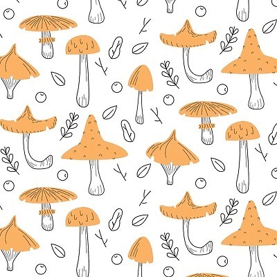 EPS 해외이미지 식물 배너 계절 열매 행복 선 컬러 백그라운드 단풍 잎 패턴 일러스트 자연 벽지 가로 컬러풀 노란색 검은색 웹 버섯 나뭇가지 플랫 낙서 숲 인쇄 심볼 질감 복고 윤곽 도토리 손그림 추수감사절 원뿔 내추럴 고립 벡터 해외202310 해외일러스트 도형 나무 감정 기독교 무늬 인터넷 견과류 생태계 파일형식