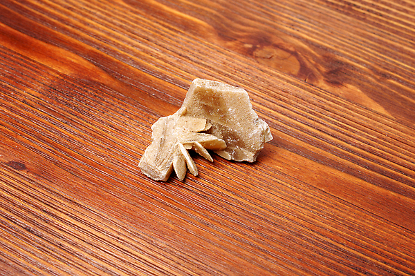 포토 JPG 해외이미지 식물 꽃잎 꽃 과학 백그라운드 자연 디저트 건조 사람없음 목재 장식 장미 갈색 견본 사막 크리스탈 유기농 사하라 발견 내추럴 지질학 해외202310 해외포토 나무 웰빙 교육 음식 컬러 재료 아프리카 광석 생태계 파일형식