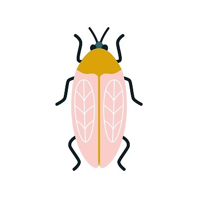 EPS 해외이미지 식물 동물 캐릭터 디자인 야생동물 곤충 일러스트 자연 무척추동물 컬러풀 정원 플랫 벌레 인쇄 만화 딱정벌레 무당벌레 손그림 개미 내추럴 고립 대칭 동물상 벡터 해외202310 해외일러스트 일러캐릭터 컬러 조형물 생태계 파일형식