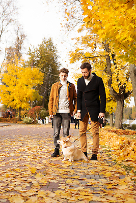 포토 JPG 해외이미지 동물 라이프스타일 계절 공원 남자 행복 아들 잎 오렌지 가족 관계 자연 거리 함께함 건강 사람 소년 성인 두명 10대 반려동물 걷기 정원 산책 기쁨 아빠 개 골든리트리버 해외202310 해외포토 식물 공공시설 감정 어린이 컨셉 과일 포유류 모션 청소년 휴식 생활 리트리버 생태계 파일형식