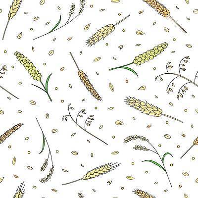 EPS 해외이미지 식물 손 디자인 계절 음식 줄기 백그라운드 잎 패턴 농업 일러스트 텍스트 자연 밥 씨앗 여름 농작물 농장 식사 수확 흰색 시골 낙서 낟알 스케치 시리얼 밀 심볼 그림 유기농 보리 수수 옛날 호밀 벡터 반복 귀리 해외202310 해외일러스트 웰빙 산업 컬러 무늬 곡류 미술 신체부위 생태계 파일형식