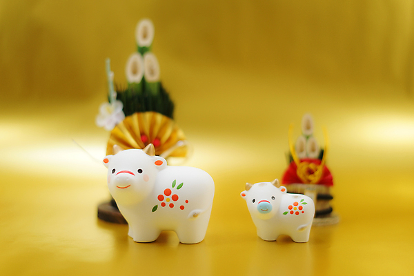 포토 JPG 해외이미지 모델 인형 새해 사람없음 숫자 미니어처 인사 소 냄비 심플 올가미 1월 해외202310 해외포토 문자 포유류 모형 예절 날짜 솥 파일형식