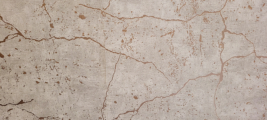 포토 JPG 해외이미지 템플릿 직업 디자인 종이 벽 백그라운드 벽지 표면 검은배경 프레임 실내 사람없음 장식 검은색 칠판 어둠 흙 공백 회색 수확 시골 거친 발표 메시지 시장 질감 상업 대리석 그런지 미니멀리스트 해외202310 해외포토 컬러 농업 재료 내부 파일형식