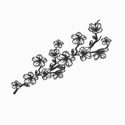 EPS 해외이미지 나무 식물 손 디자인 계절 꽃잎 꽃 아시아 선 백그라운드 잎 꽃무늬 패턴 일러스트 자연 미술 그래픽 장식 세트 뷰티 정원 일본 검은색 봄 수확 벚꽃 흰색 나뭇가지 체리 클래식 우아함 심볼 그림 복고 심플 윤곽 고립 엘리먼트 벡터 해외202310 해외일러스트 나라 컬러 컨셉 무늬 농업 과일 문화예술 신체부위 생태계 파일형식