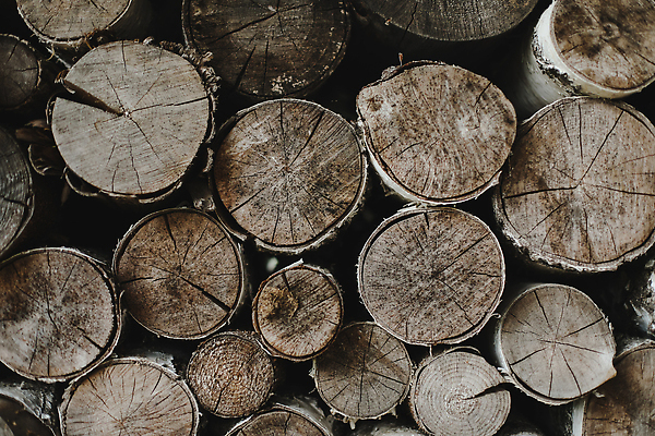 포토 JPG 해외이미지 나무 조각 백그라운드 패턴 벽지 추상 건조 사람없음 목재 장식 갈색 쌓기 마을 에너지 시골 반지 소나무 원형 균열 숲 장작 자르기 천 묘사 질감 날것 통나무 치수 나무껍질 수납 자원 잡동사니 흙더미 유지 내추럴 수목 엘리먼트 많음 해외202310 해외포토 도형 식물 컬러 컨셉 무늬 재료 장신구 모션 흙 껍질 직물 파일형식 더미