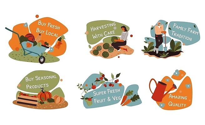 EPS 해외이미지 전신 여자 남자 스티커 농업 일러스트 호박 수박 서기 앉기 성인 두명 세트 바구니 당근 물뿌리개 삽 외발수레 성인만 해외202310 해외일러스트 산업 채소 과일 모션 뿌리채소 사람 수레 파일형식 벡터