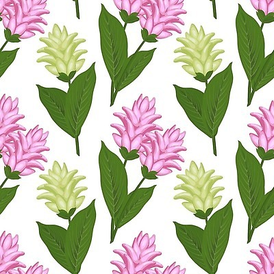 EPS 해외이미지 식물 디자인 꽃 분홍색 백그라운드 잎 꽃무늬 패턴 일러스트 재료 자연 벽지 미술 장식 뷰티 약 유행 정원 수확 벚꽃 직물 인쇄 인도인 허브 유기농 질감 손그림 향 카레 아로마테라피 내추럴 이국적 채식주의자 강황 벡터 해외202310 해외일러스트 외국인 웰빙 음식 컬러 무늬 농업 식재료 의학 문화예술 동양인 생태계 채식 테라피 파일형식